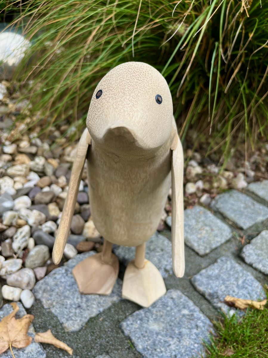 Pinguin
