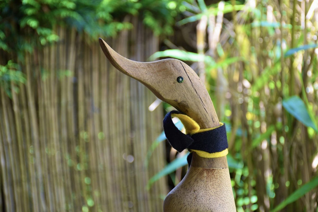 Sportliche Ente