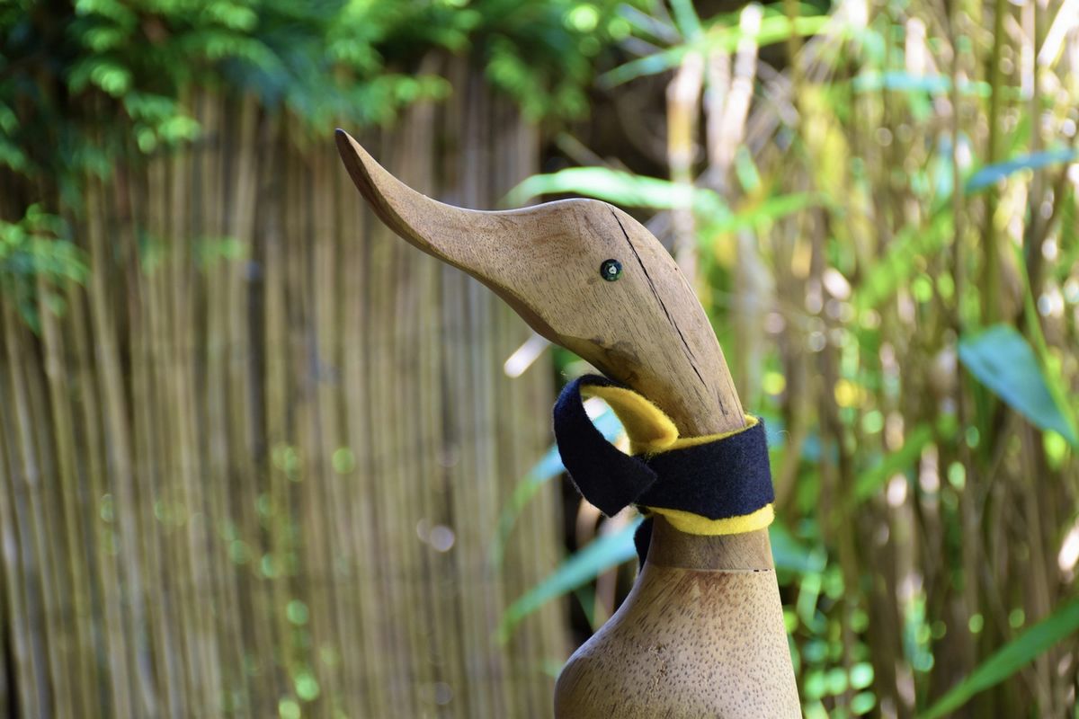 Sportliche Ente