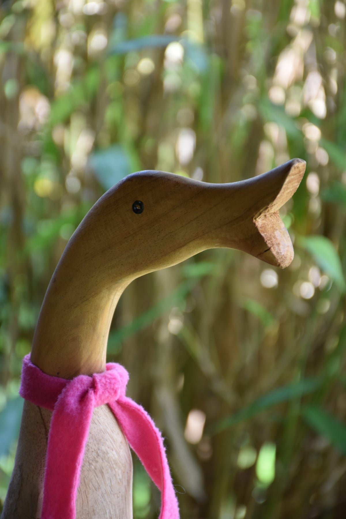 Ente mit offenem Schnabel