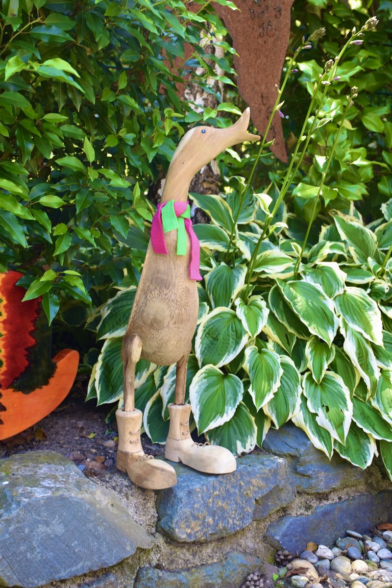Ente mit offenem Schnabel
