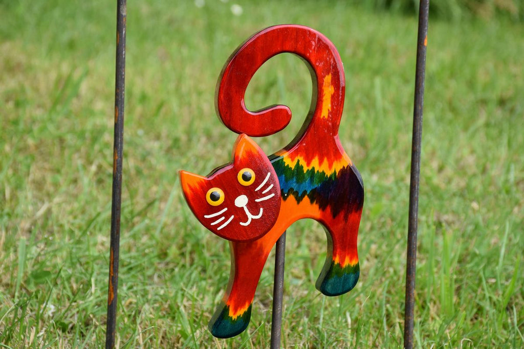 Katze Bunt