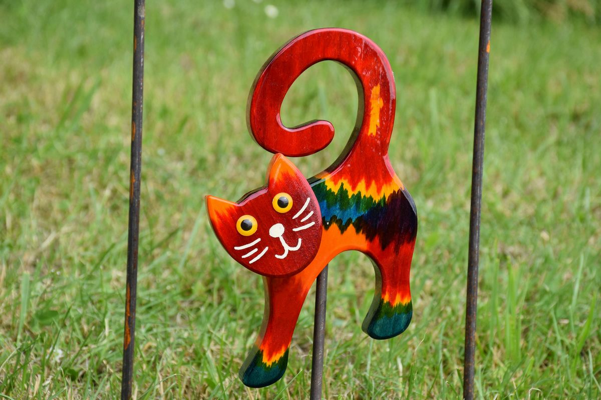 Katze Bunt