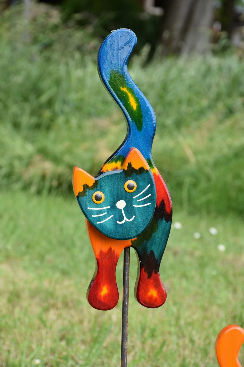 Stehende Katze Bunt