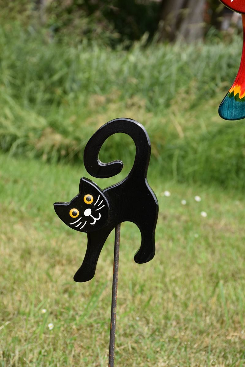 Katze Schwarz