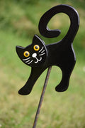 Katze Schwarz