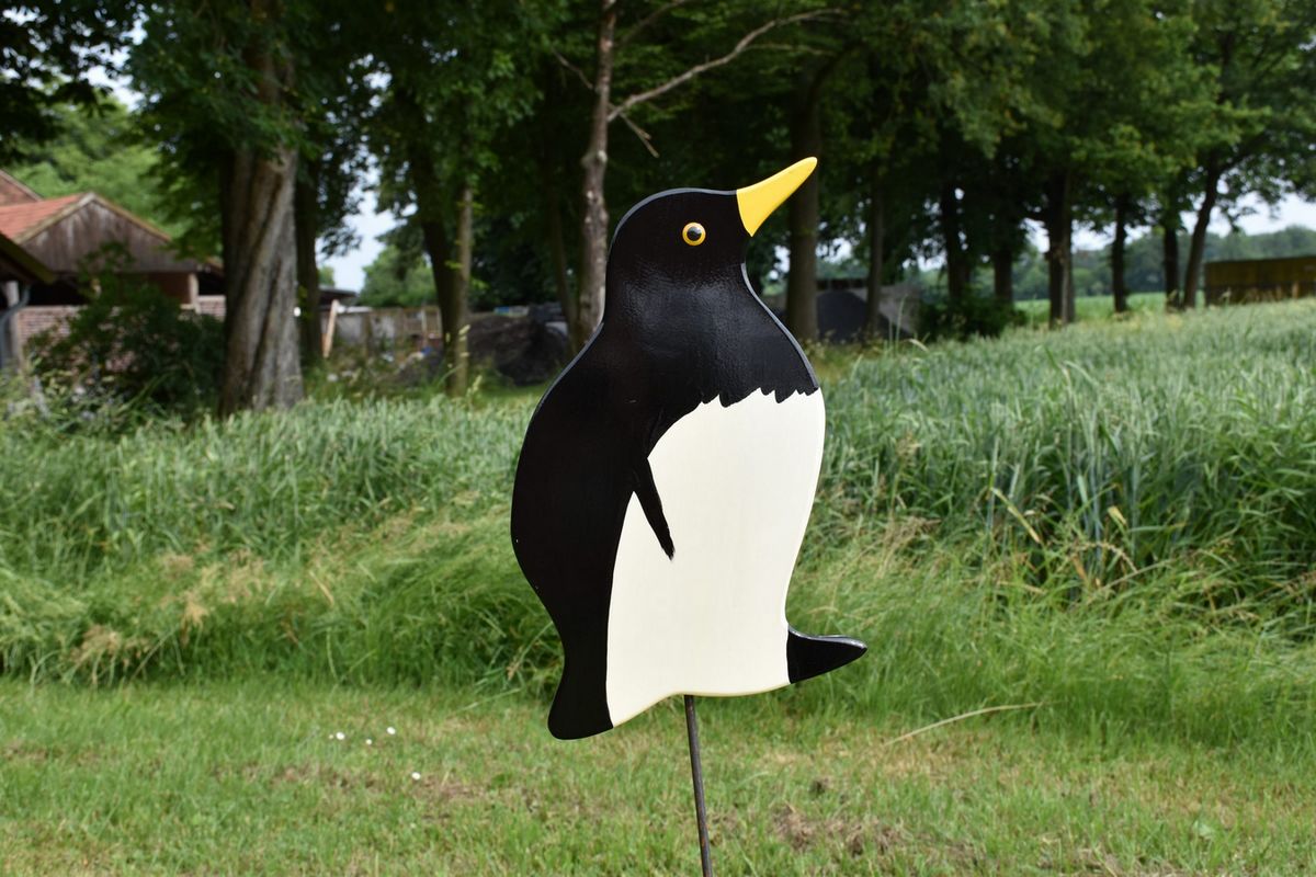 Pinguin