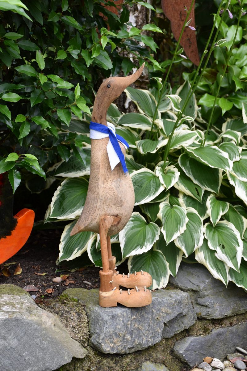 Sportliche blau-weiß Ente