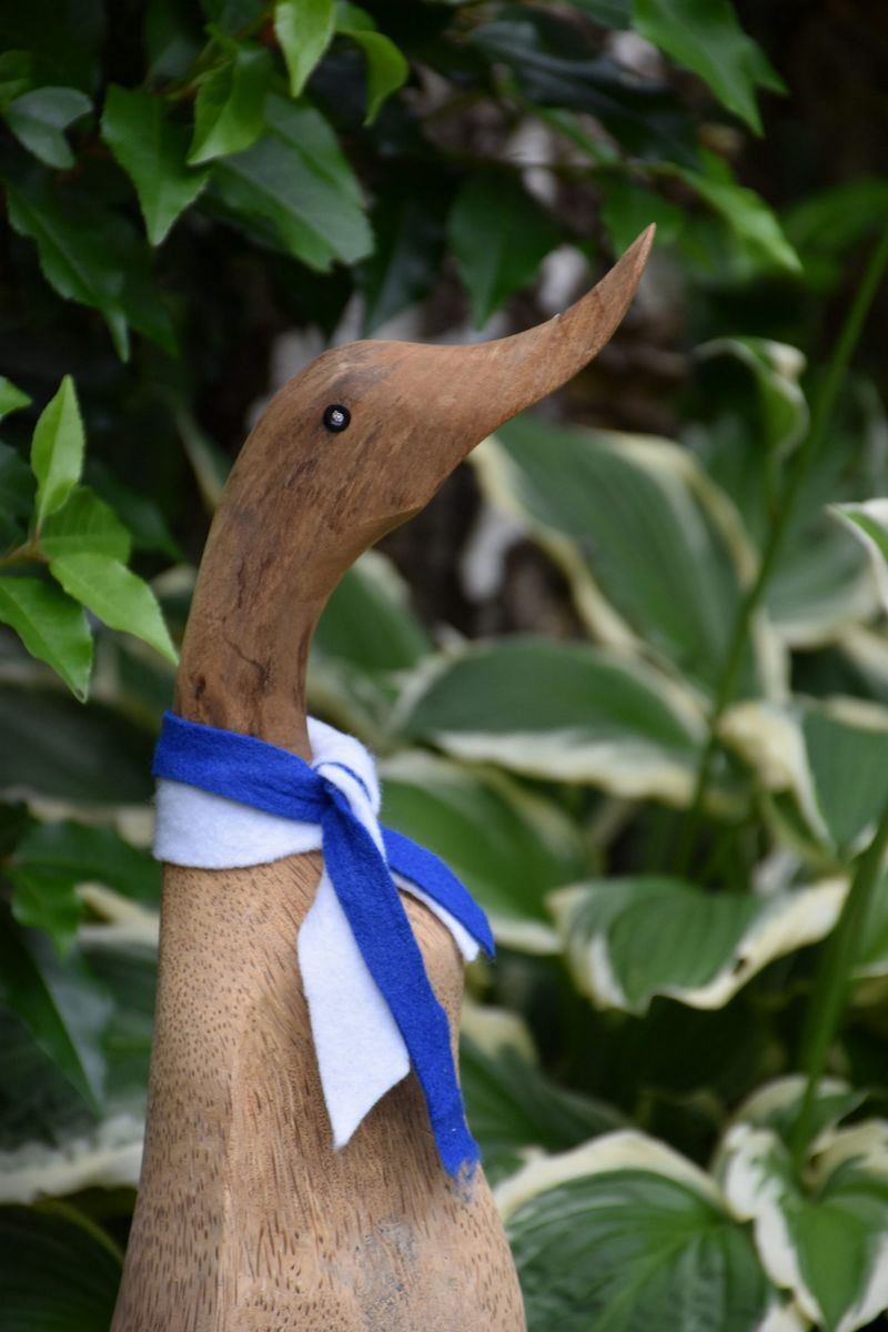 Sportliche blau-weiß Ente