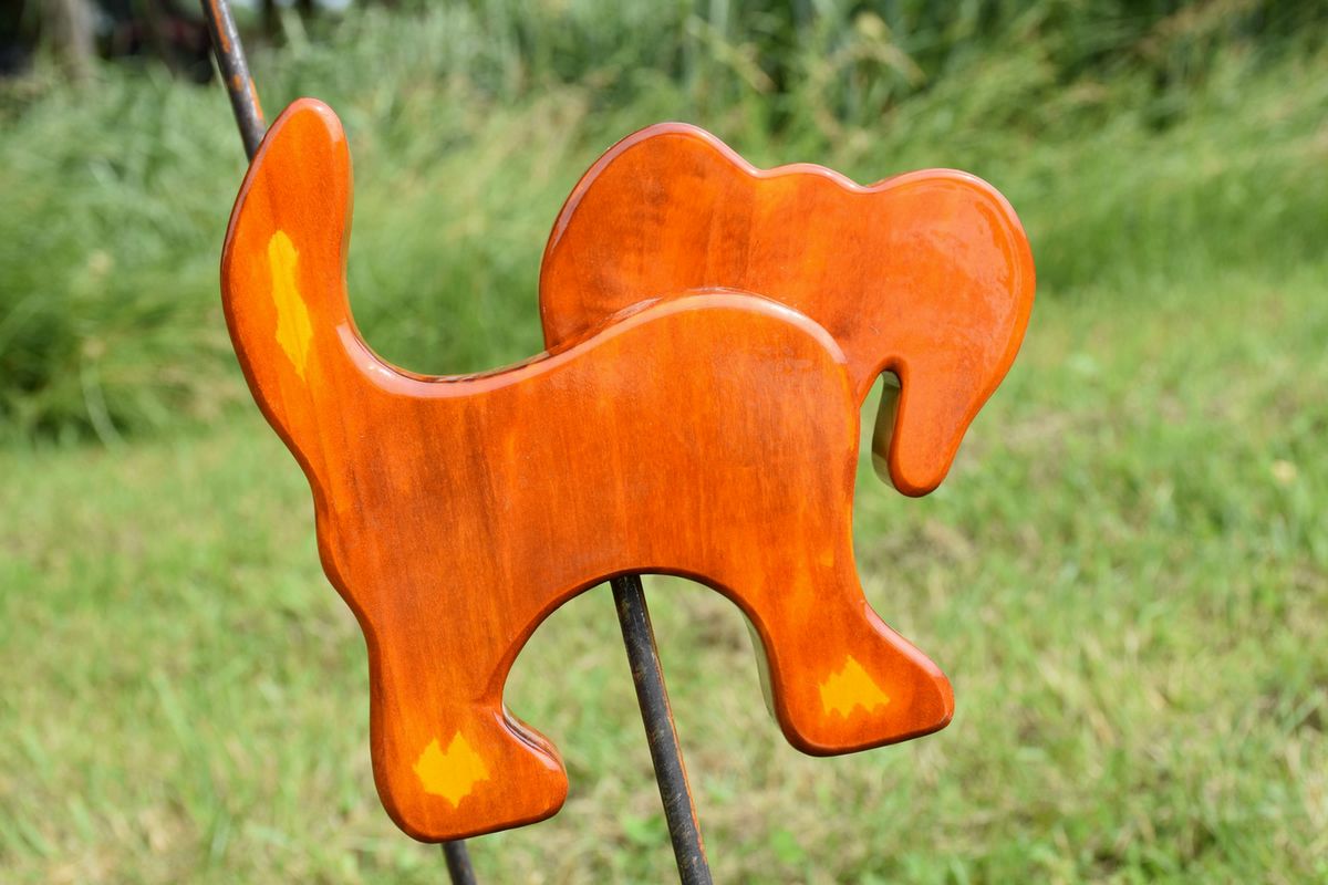 Hund Braun