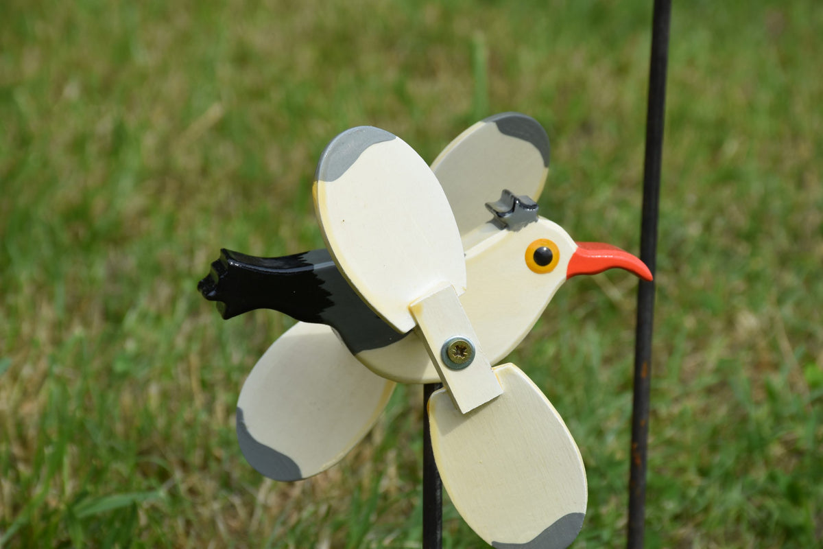 Fliegende Möwe