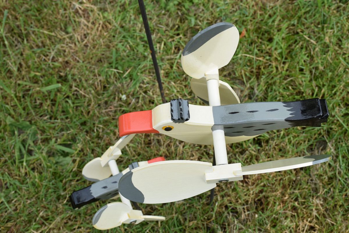 Fliegende Möwe