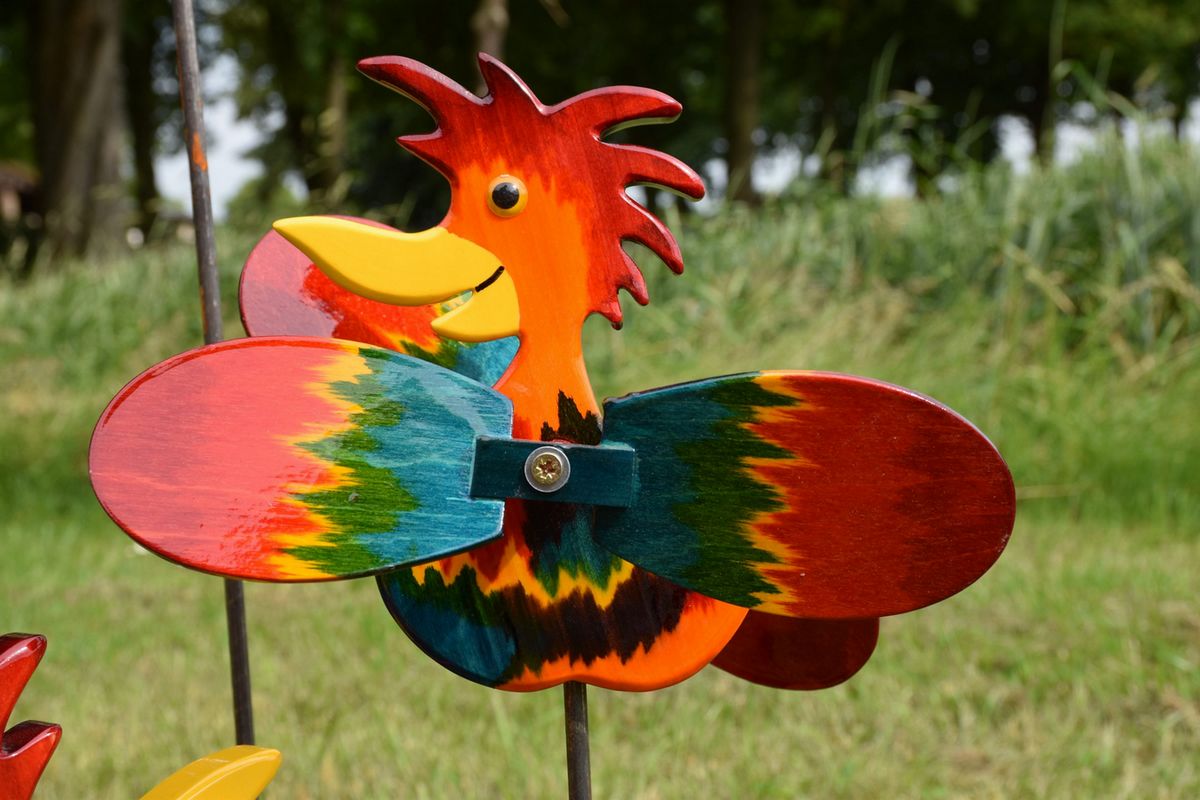 Vogel Ludwig