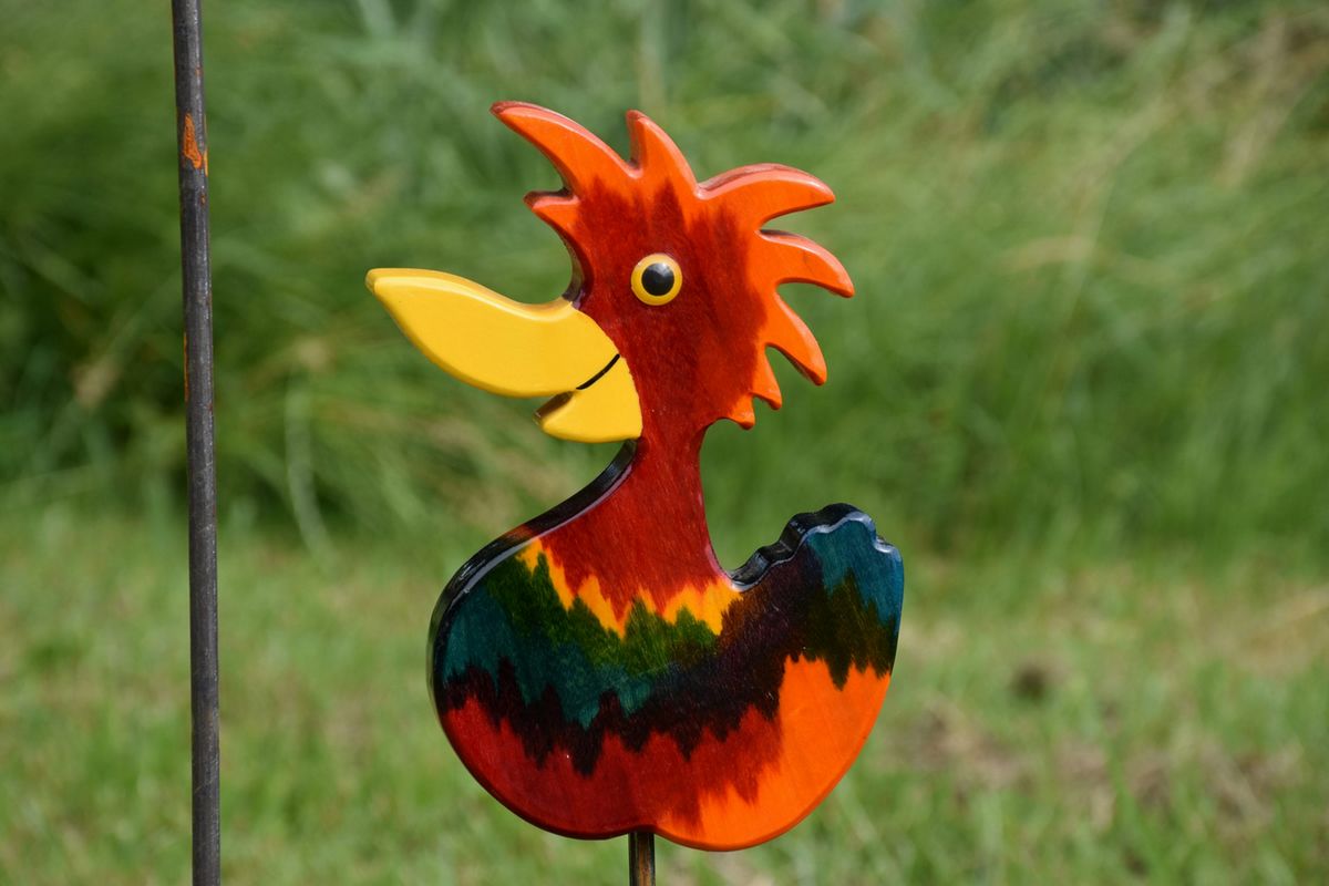 Vogel Ambi