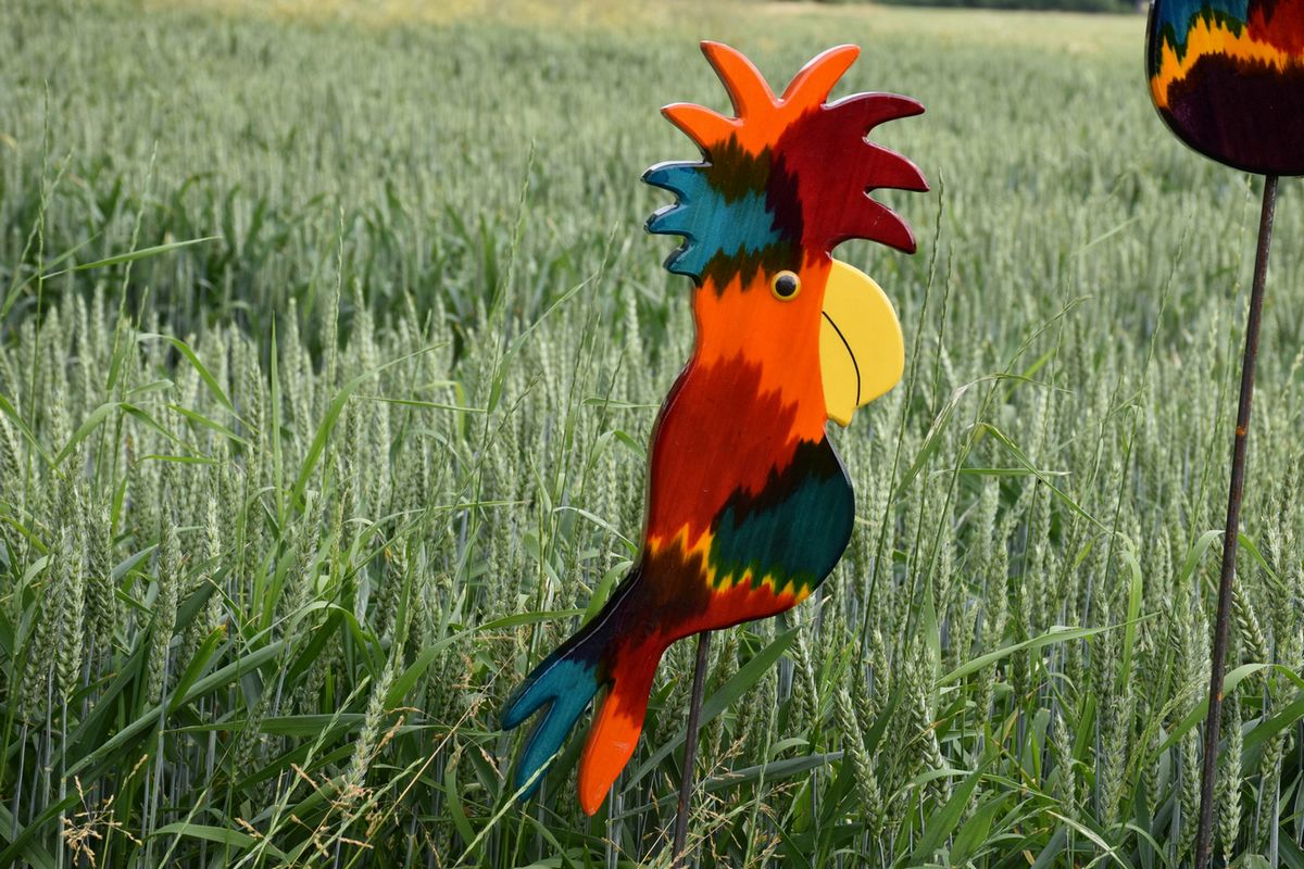 Vogel Hugo