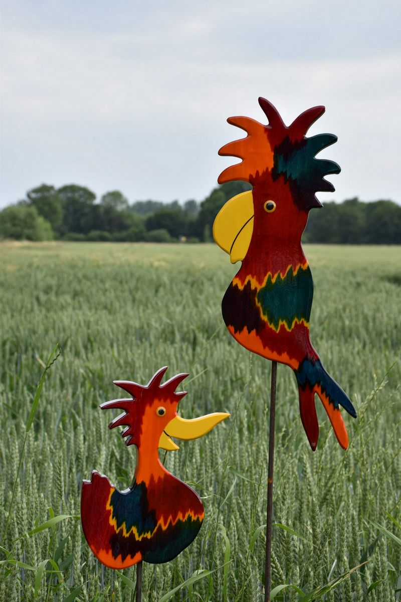 Vogel Ambi