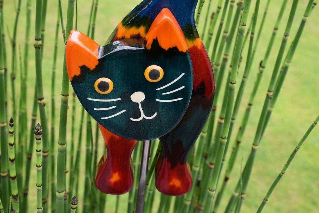 Stehende Katze Bunt