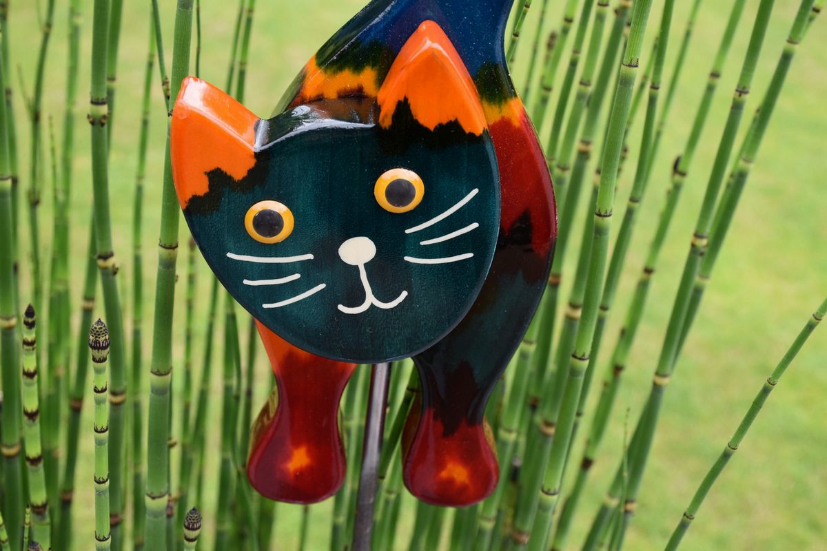 Stehende Katze Bunt